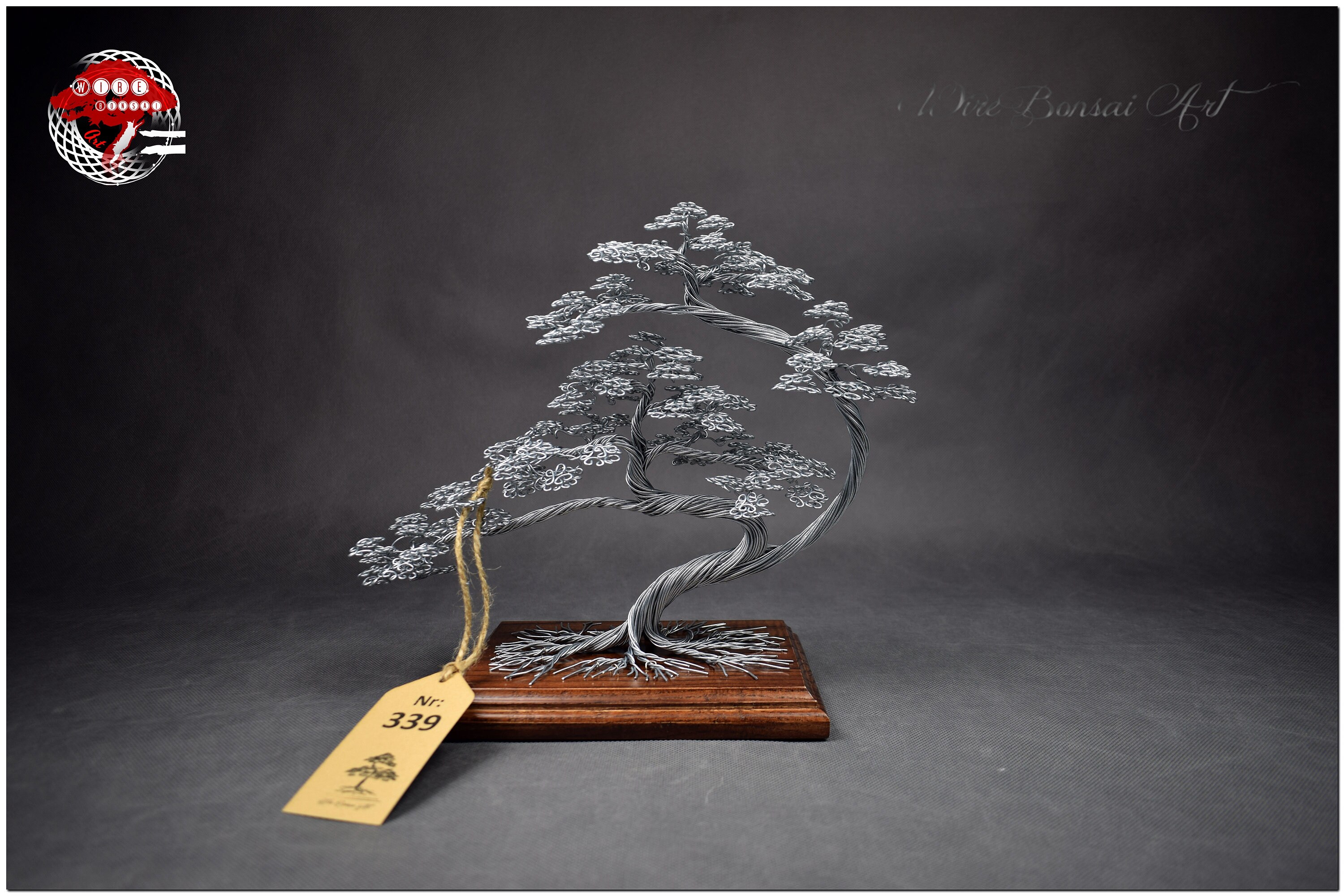 Wire bonsai tree Tree of life engraved dedication Etsy