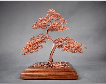 History of the Bonsai Tree – J-Life International