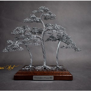 Bonsái de alambre hecho a mano: decoración de jardín zen grabada