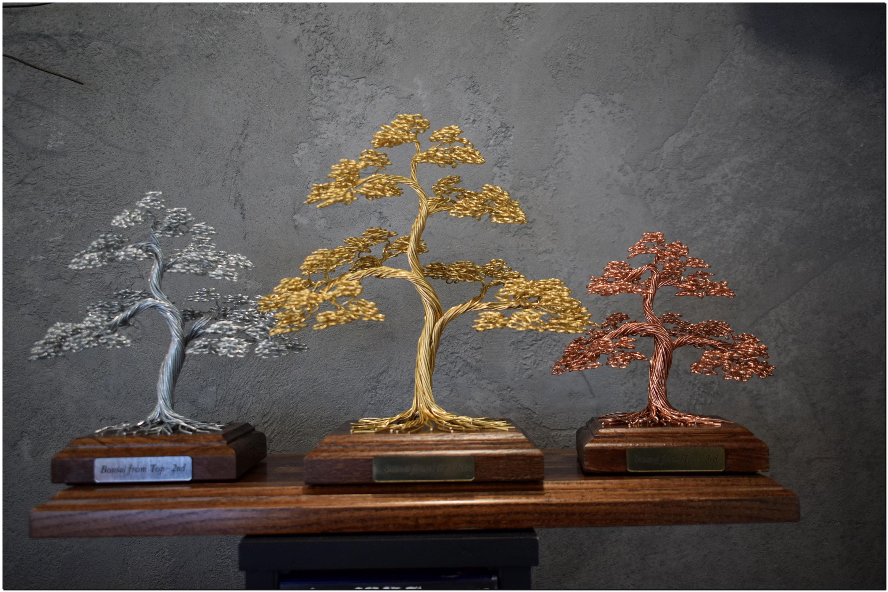 bonsai ficus ikea KP-032 Ficus Bonsai main image 0