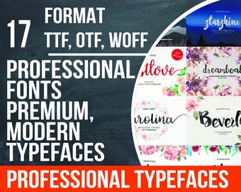 17 font bundle, brush font, font download, ttf font, otf font, otf, ttf, swirly font, font pack, swash font, downloadable font, free fonts