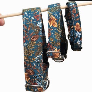 Teal Dog Collar with Fall Flowers: Maroon Floral Collar, Matching Leash & Bow