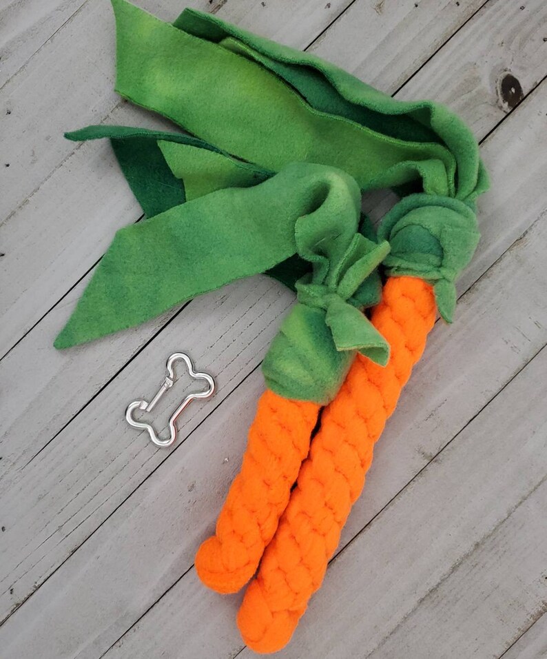 carrot dog toy from bolt