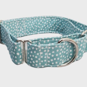 Könnte beinhalten: Ein türkisfarbenes Hundehalsband mit weißen Tupfen und einem D-Ring und Beschlägen aus Metall. Das Halsband ist aus Stoff gefertigt und wird um den Hals eines Hundes getragen. Das Halsband ist im Martingale-Stil.