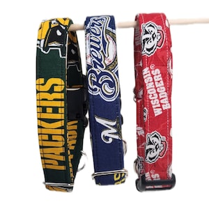 Green Bay Packers / Wisconsin Badgers hundhalsband