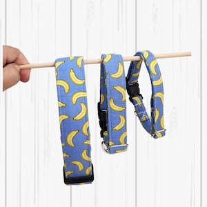 Banana Dog Collar with Yellow Bananas and Light Blue Background Matching Bows & Leash