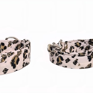 Pink Leopard Print Dog Collar Bows and Leashes with a Dash of Gold and Black Spots