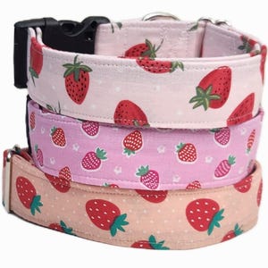 Hondenhalsband aardbei retro roze achtergrond en bijpassende strikken of bloemen