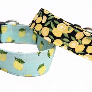 Può includere: Due collari per cani a tema limone. Un collare è azzurro con limoni gialli e foglie verdi. L'altro collare è nero con limoni gialli e foglie verdi. Entrambi i collari hanno una fibbia in plastica nera e finiture in metallo argentato.