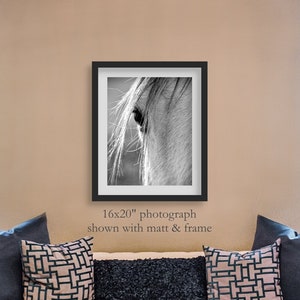 Schwarzweiss-Foto-Nahaufnahme des schönen Pferdes. Western Pferde Fotografie Wandkunst, Wanddekor.