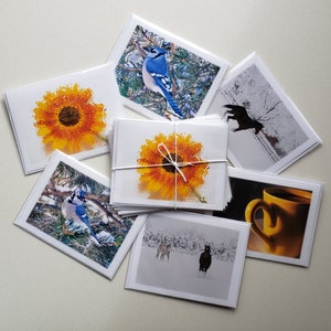 Leuke vrolijke kleine notakaarten, 6 verschillende mooie foto's. Set van 6 (1 van elk) of 12 (2 van elk) leeg binnen.  4 1/4 x 5 1/2 inch