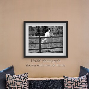 Schwarz und weiß Foto von schönen Pferd. Western Pferde Fotografie Wandkunst, Wanddekor.