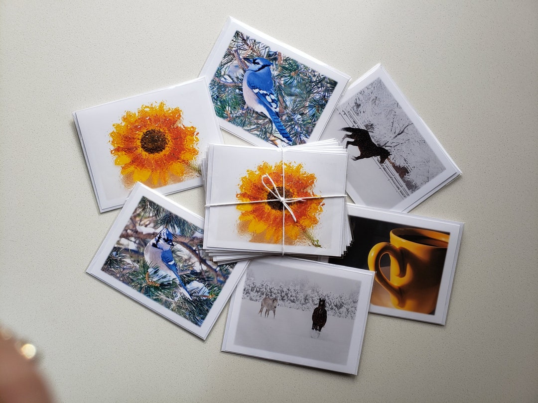 Cheerful Photo Note Card Set: Blank Inside, Six Assorted Images - Etsy