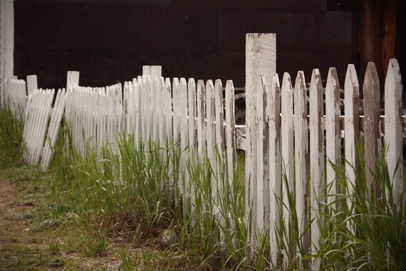 Photograph of old rustic picket fence in Colorado mountain | Etsy