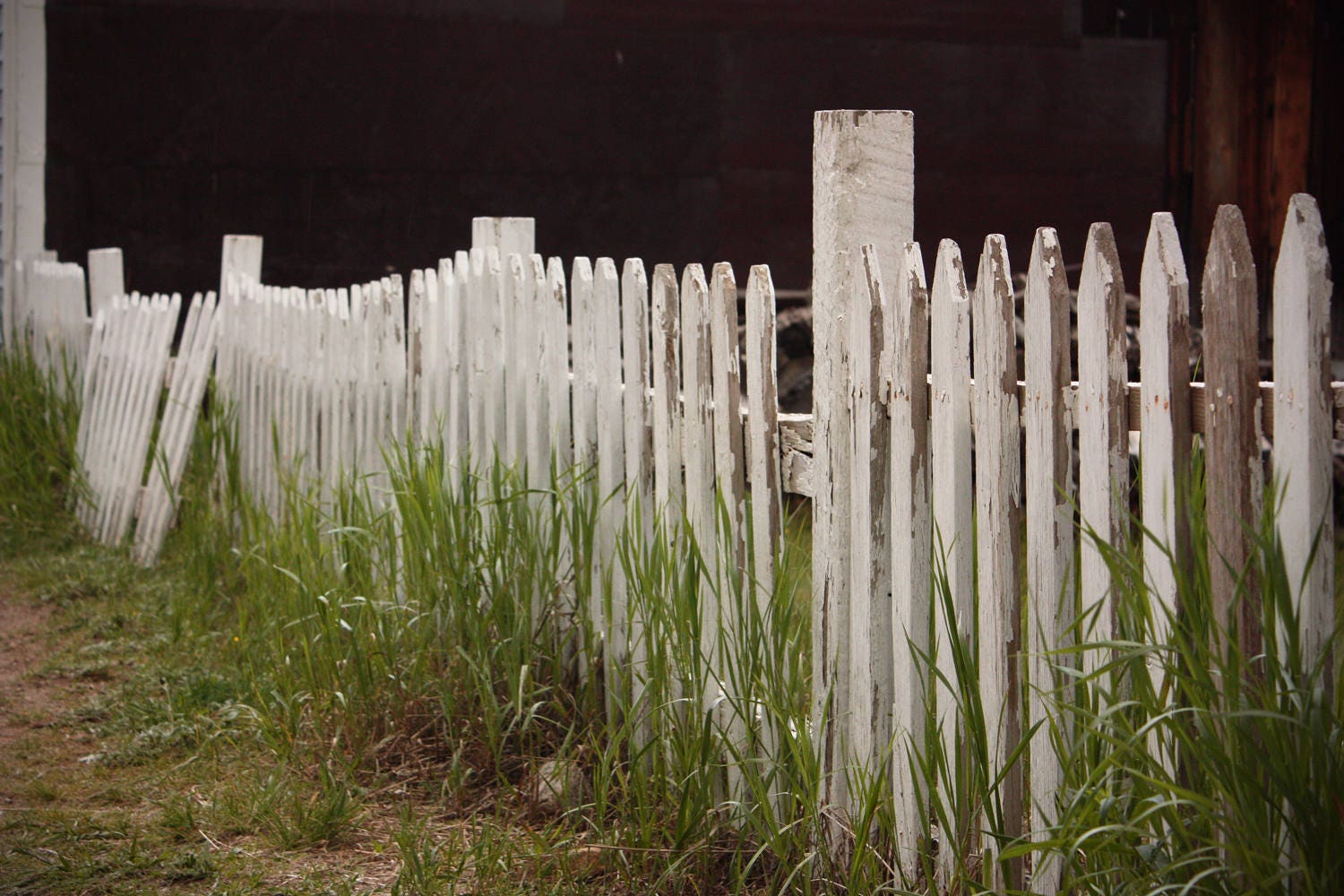 Photograph of old rustic picket fence in Colorado mountain Etsy