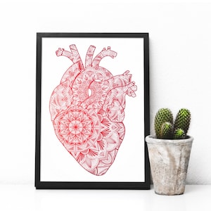 May include: A framed print of a red anatomical heart with a mandala design. The heart is outlined in black and the mandala design is filled with intricate details.