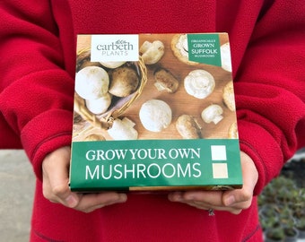 Carbeth Plants Mushroom Growing Kit - Grow Your Own Button Suffolk Mushrooms - Brown or White Kits