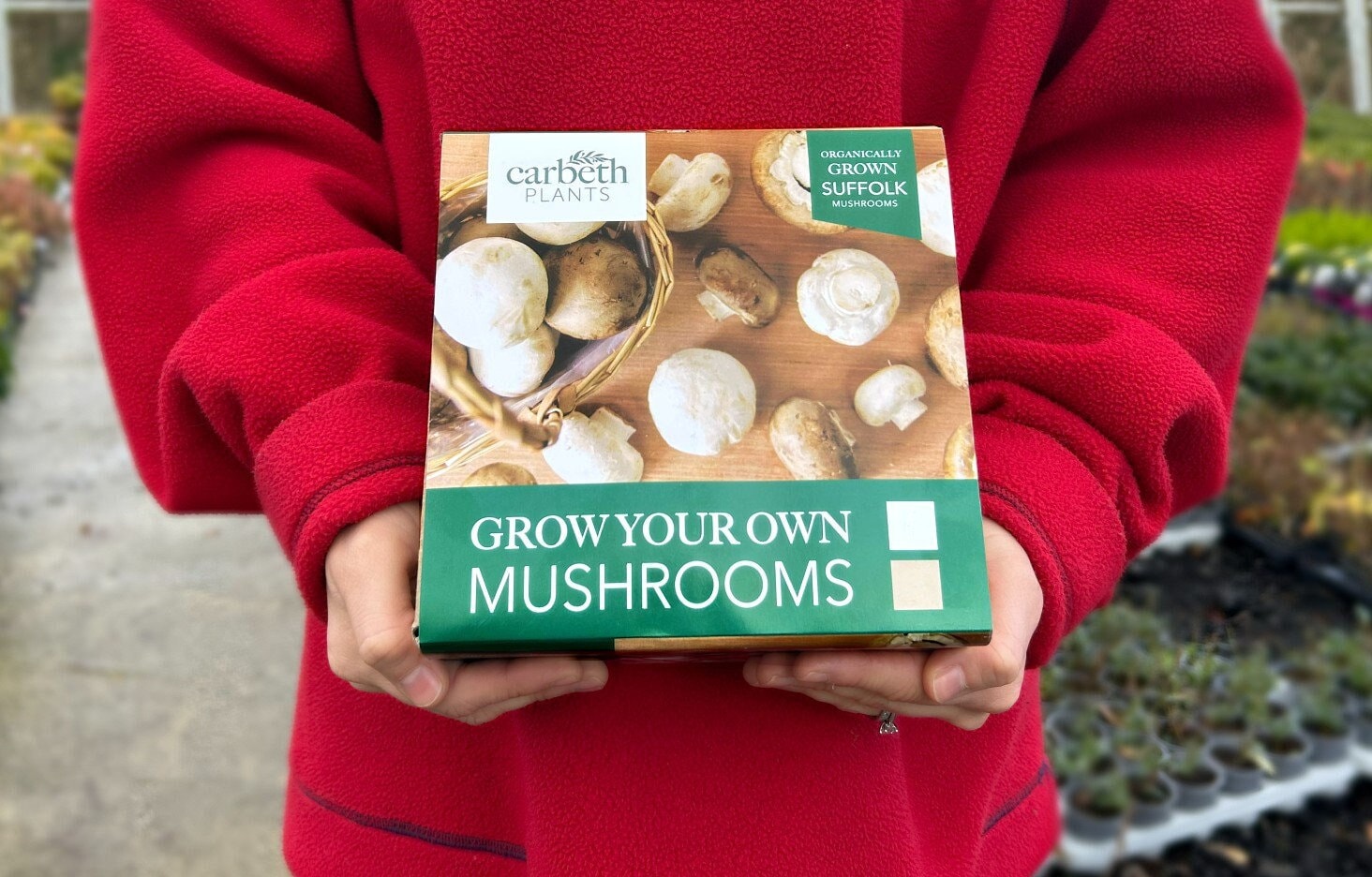 Carbeth Plants Mushroom Growing Kit Grow Your Own Button Etsy UK
