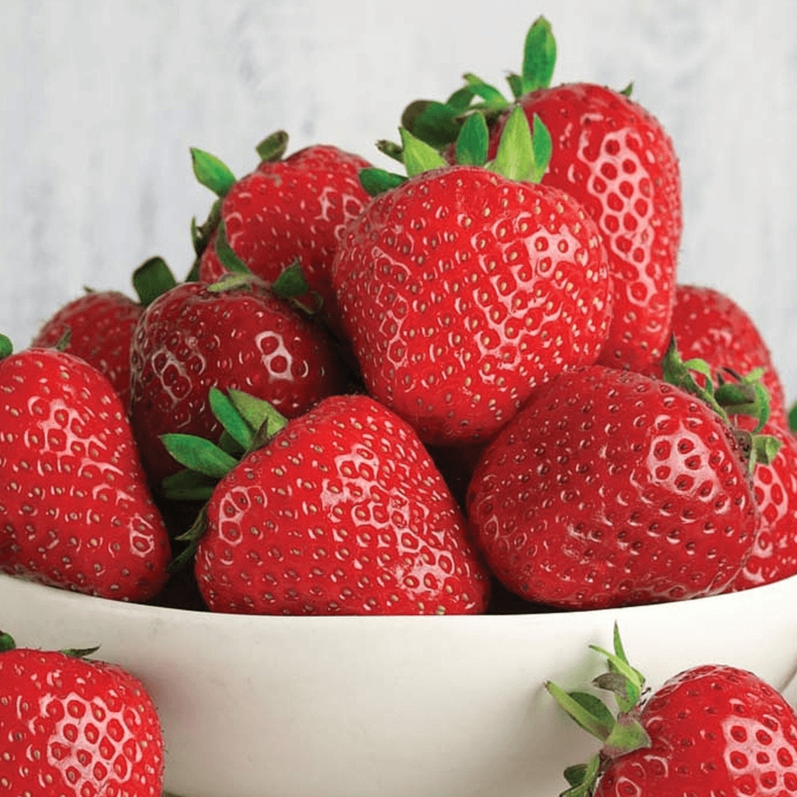 12 X Strawberry Elsanta A Bare Roots - Grow Your Own Strawberries - Etsy UK