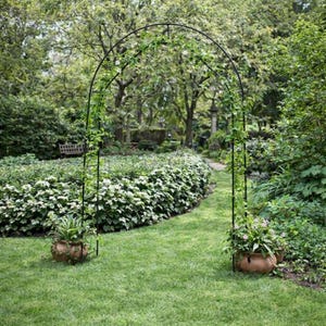 May include: A black metal garden archway with climbing plants, set in a lush green garden. Two terracotta pots with plants are at the base of the arch. A pathway leads through the arch, surrounded by greenery.