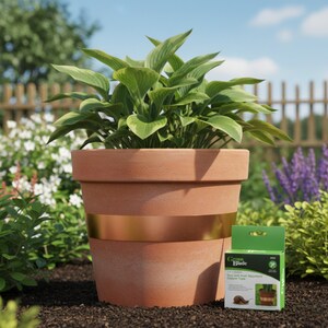 May include: A large terracotta flower pot with a gold band, planted with green foliage. A small green box with the text "Green Blade" and an image of the pot is next to the pot. The background shows a garden with a wooden fence.