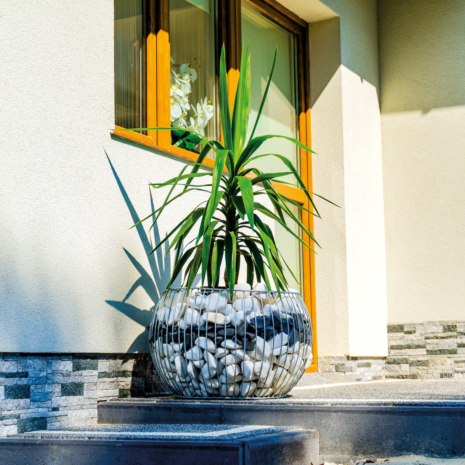 鉢・プランター stone plate gypsy plants Glitzhome 4-Piece Sun & Moon Cement Stepping Stones Garden Decor