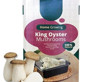 King Oyster Mushroom Growing Kit: Beginner Friendly, Easy to Grow