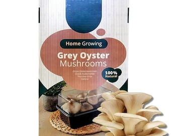 Grey Oyster Mushroom Growing Kit: Beginner Friendly, Easy to Grow