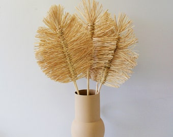 Natural Dried Cream Boho Palms - 5 Stems - 70cm in Height - Dried Flowers - Ideal for Home Décor - Flower Arranging - Crafting