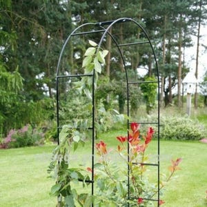 May include: Black metal garden arch with a rectangular frame and arched top. Green and red foliage climbs the structure, set against a backdrop of trees and a grassy lawn. A decorative element for climbing plants.