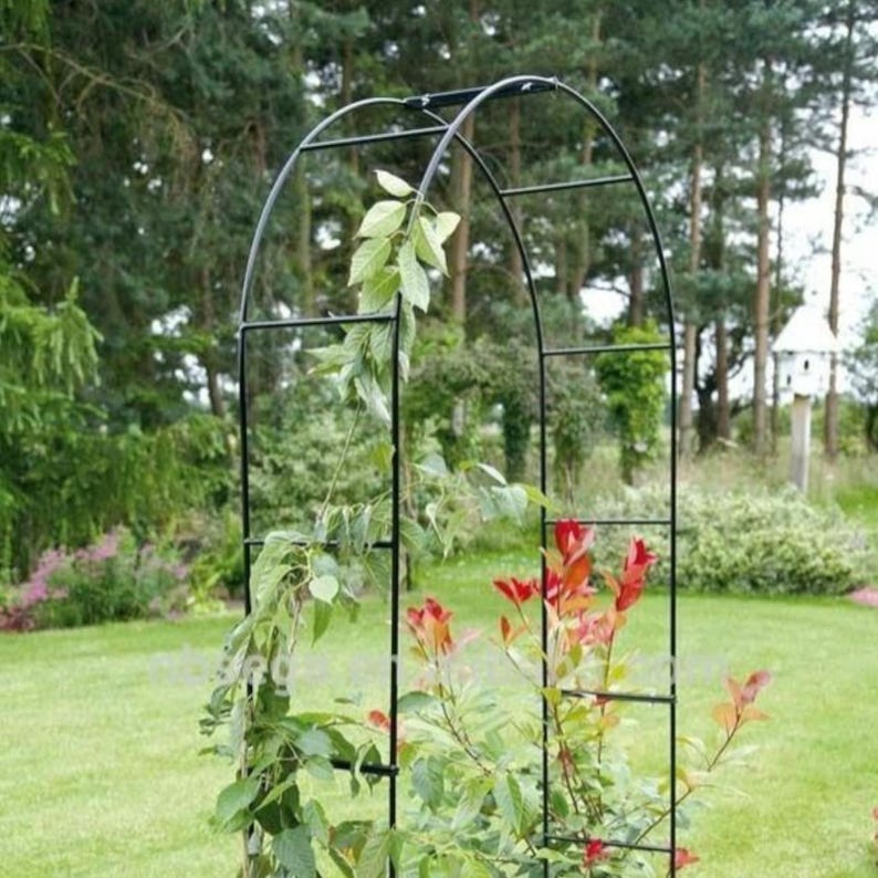 May include: Black metal garden arch with a rectangular frame and arched top. Green and red foliage climbs the structure, set against a backdrop of trees and a grassy lawn. A decorative element for climbing plants.