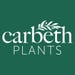 Carbeth Plants