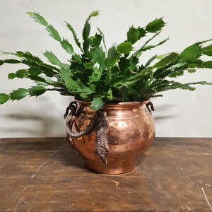 May include: A green cactus plant in a hammered copper pot with two iron handles. The pot has a rustic, aged look.