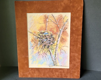 Original Pastel Drawing of Birds Nest in Tree Branch Signed Matted Unframed