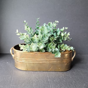 Vintage Oval Brass Planter with Handles Plant Pot Cachepot