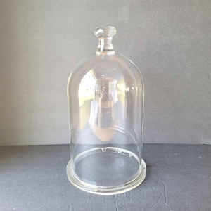 May include: A clear glass cloche with a round base and a knob on top. The cloche is empty and has a slight reflection of the photographer.