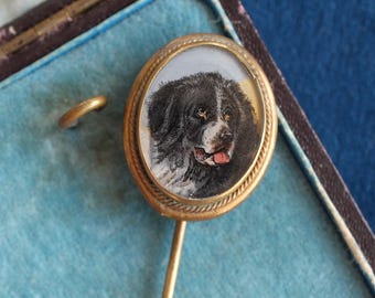 Antique Hand-Painted Newfoundland Stick Pin Under Glass, Early 20th Century Dog Portrait, English Antique Pin