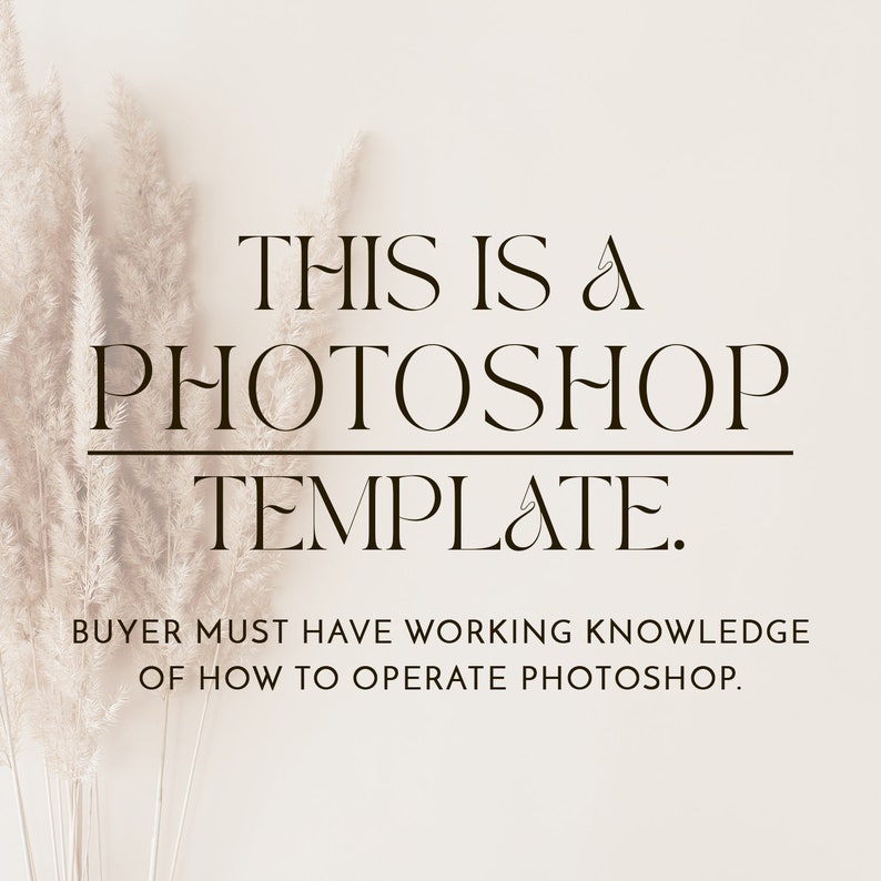 May include: Text overlay on a white background with a beige pampas grass in the foreground. The text reads "THIS IS A PHOTOSHOP TEMPLATE. BUYER MUST HAVE WORKING KNOWLEDGE OF HOW TO OPERATE PHOTOSHOP."