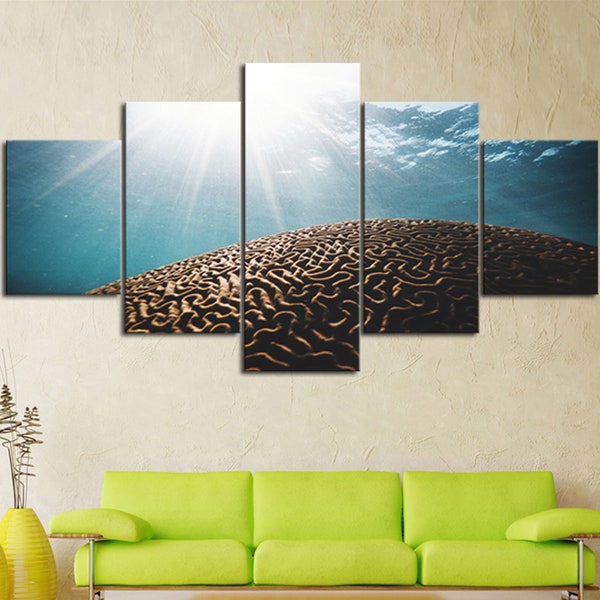 Brain Coral Multi Panel Canvas Set, 5 Piece House Decor Picture, Nature Scenery, Sea Life Home Decoration Wall Art