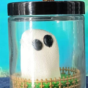 Pet Ghost in a Jar | Homemade Gifts | Toy