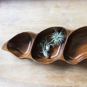 Pode incluir: Um prato de servir de madeira com três seções, em forma de folha, com uma alça em uma extremidade. O prato é de madeira marrom escura e tem um acabamento liso e polido. Há três pequenas plantas verdes no prato.