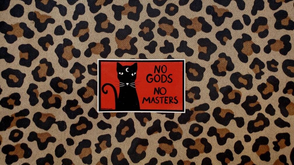 No Gods No Masters Cat sticker | 3"x2" vinyl sticker | punk…