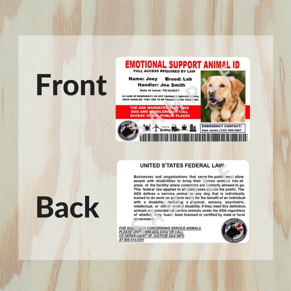 Apoyo Emocional Easyfly Mascotas En Cabina Transportín De Mascotas