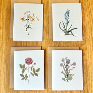 Set of 8 Vintage Flower Blank Notecards (Stationary), with envelopes