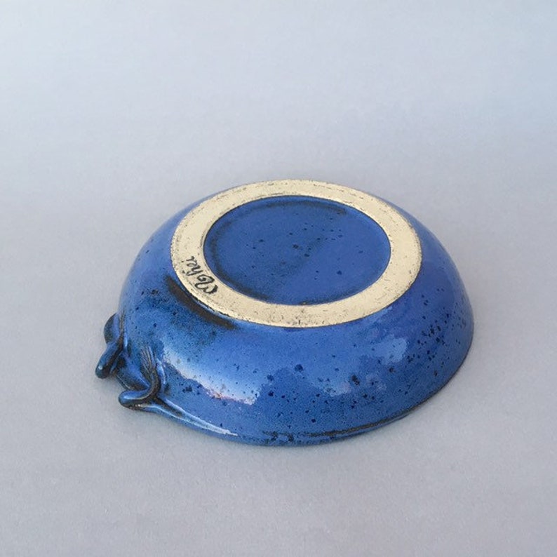 kids plate sculptural pottery blue ceramic lizard plate whimsical pottery bowl desert bowl