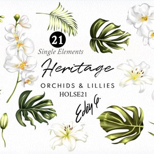 Single Elements/Orchid/Lily/Calla/Monstera/Greenery/Leaf/Leaves/Herbal/Tropical/PNG/Floral/Flowers/Wedding/Clipart/Stationery/Commercial use