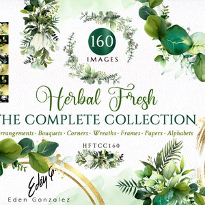 Digital Herbal Frames/Clipart/Arrangements/Stationery/Watercolor/Leaves/Leaf/Eucalyptus/Greenery/Tropical/Palm/Plant/Border/Commercial use