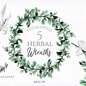 Digital Herbal Wreaths/Clipart/Botanical/Ribbon/Arrangements/Stationery/Watercolor/Wedding/Green/Border/Leaves/Eucalyptus/Commercial use
