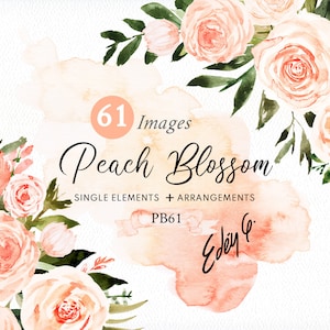 May include: Watercolor illustration of peach blossom flowers in shades of pink and white with green leaves. The illustration includes 61 images, single elements and arrangements. The text "Peach Blossom" and "Edey G." are included in the image.