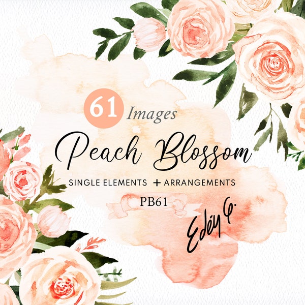 Watercolor/Peach/Beige/Coral/Floral/Clipart/Illustrations/Flowers/Arrangements/Bouquets/Corners/Borders/Stationery/Wedding/Commercial use